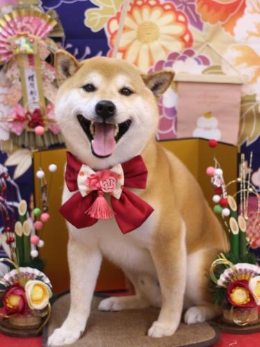 20240116ススムくん